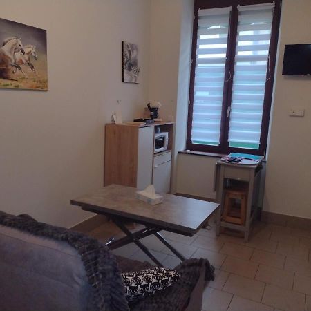 Appartement Rdc Chez Caroline Bourbonne-les-Bains Extérieur photo